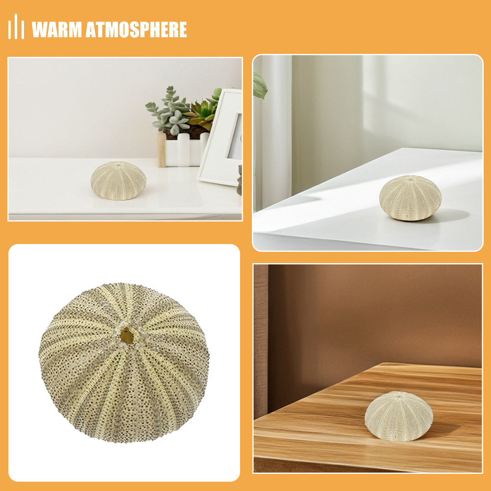 18Pcs Urchin Shells Vase Fille - Art Craft Vase recension och pris