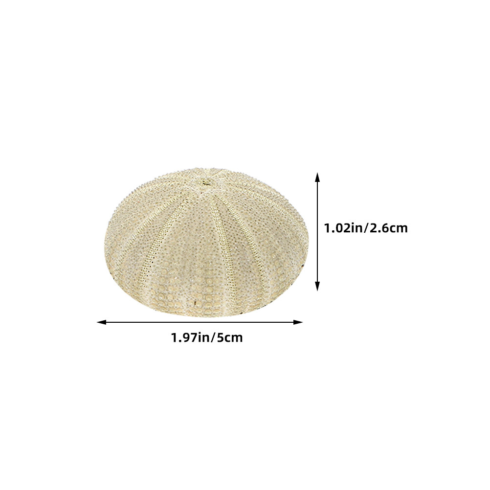 18Pcs Urchin Shells Vase Fille - Art Craft Vase recension och pris