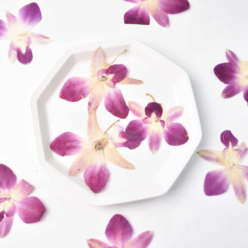 4pcs,Real Pressed Butterfly Or - Art Craft Butterfly recension och pris