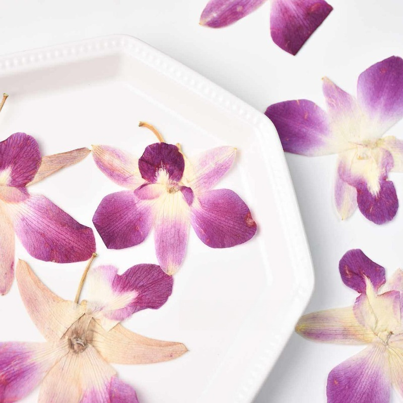 4pcs,Real Pressed Butterfly Or - Art Craft Butterfly recension och pris