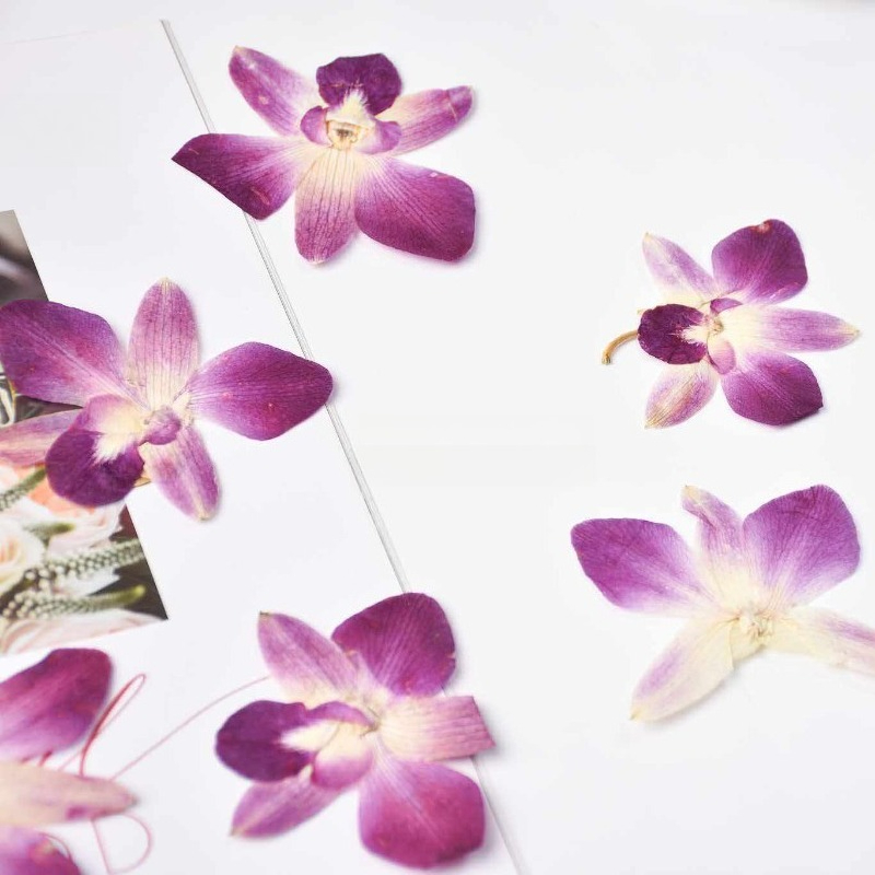 4pcs,Real Pressed Butterfly Or - Art Craft Butterfly recension och pris