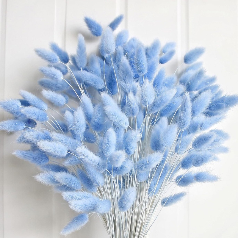 100PCS Blue Hare's-tail Grass  - Art Craft Vase recension och pris