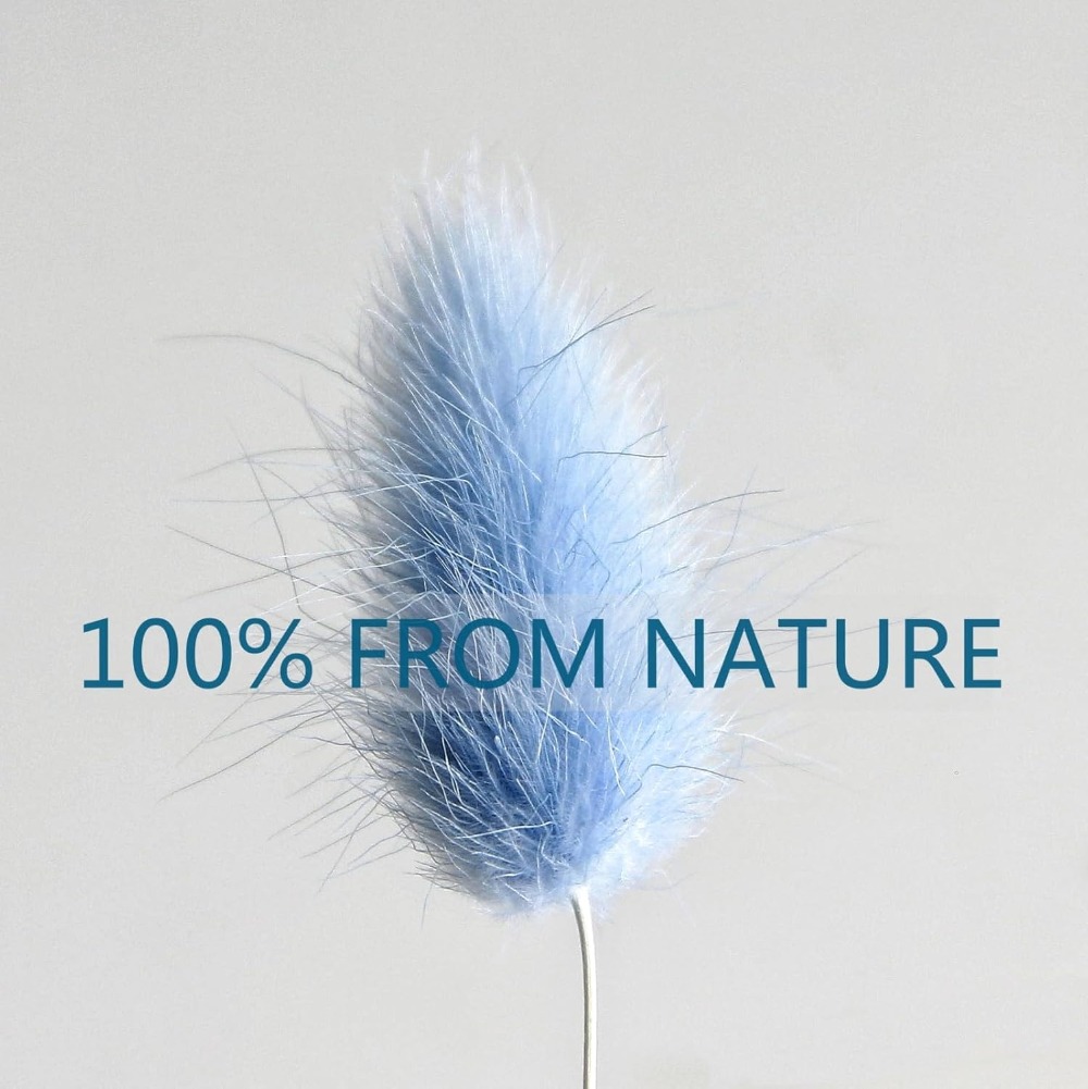 100PCS Blue Hare's-tail Grass  - Art Craft Vase recension och pris